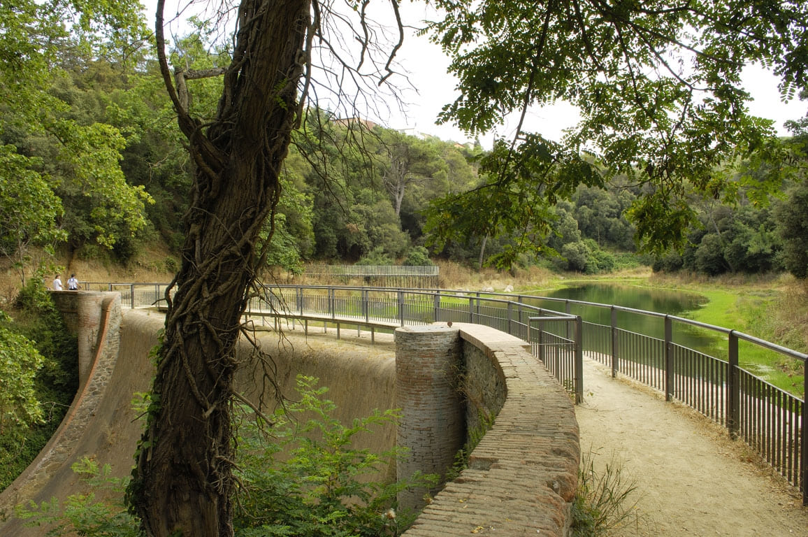 Actividades de verano: excursiones y actividades