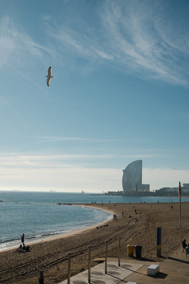 Actividades de verano: playas en Barcelona